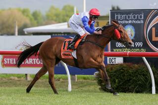 Savvy Coup (NZ) Dominant in Livamol Classic. Photo Credit: Trish Dunell.